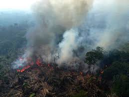 Image biodiversité 2