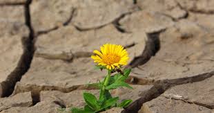 Image biodiversité 1